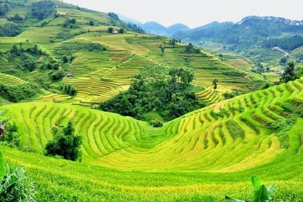 Tour Hà Giang 5 ngày 4 đêm